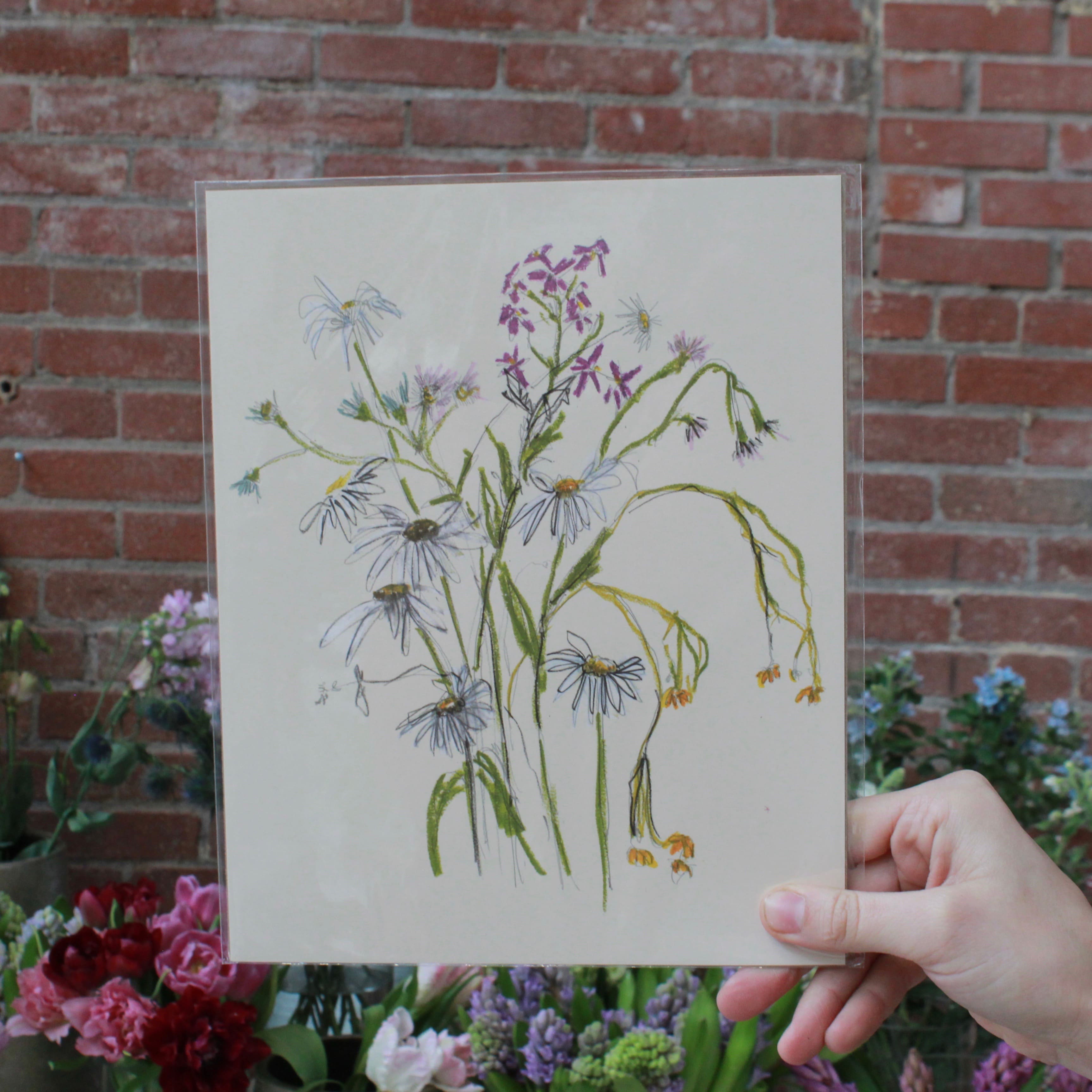 LACOTT FINE ART PRINTS