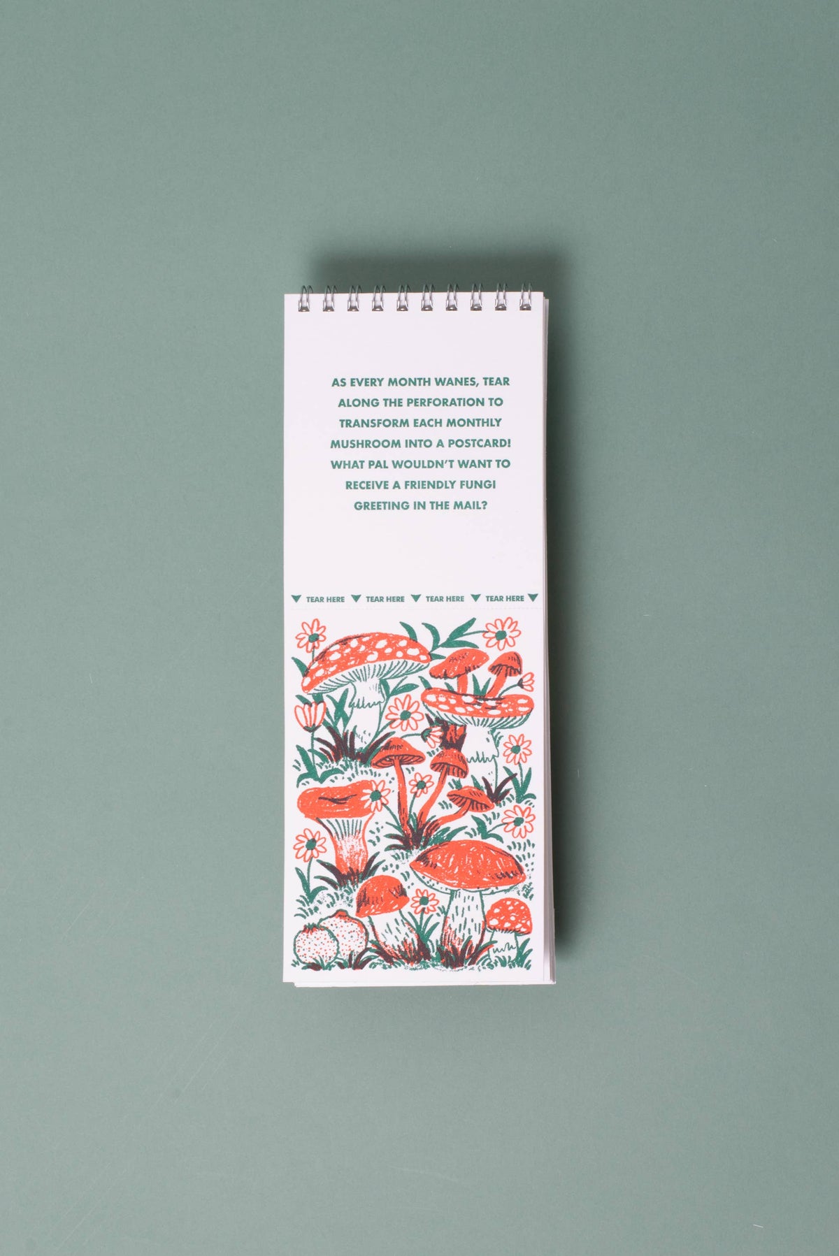 2027 GNOMES & MUSHROOMS POSTCARD PHOEBE WALL WALL CALENDAR
