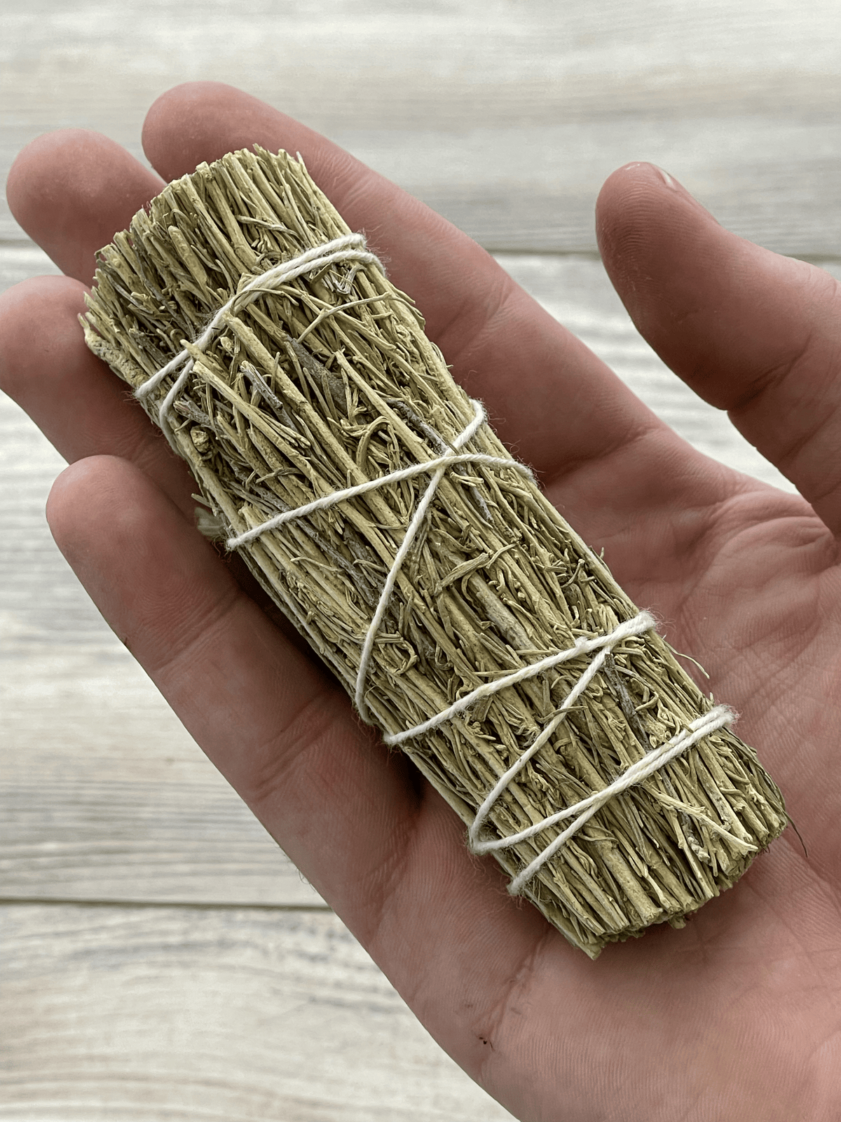 DESERT SAGE 4" BUNDLE