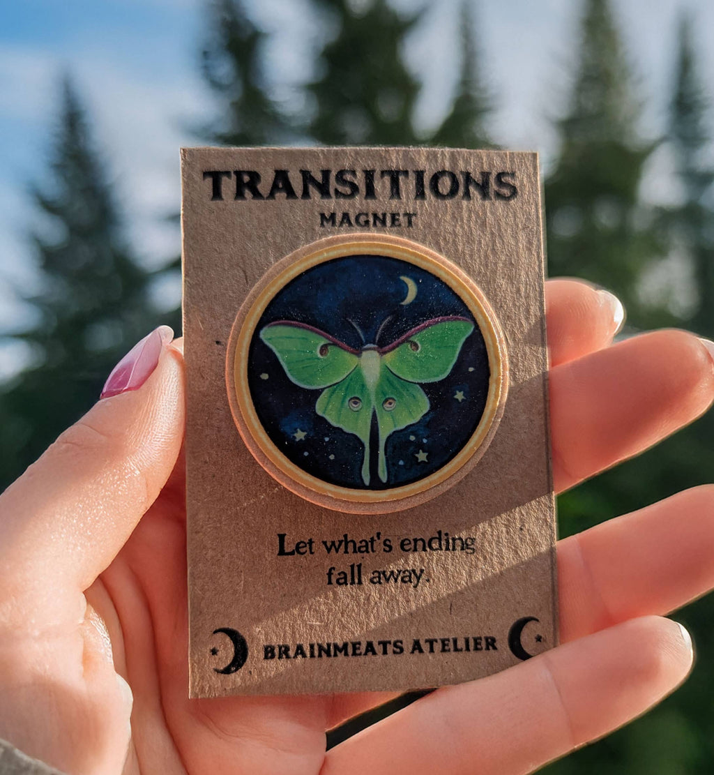 TRANSITIONS MAGNET