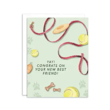 MISCELLANEOUS OCCASION CARDS