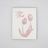 MISCELLANEOUS OCCASION CARDS