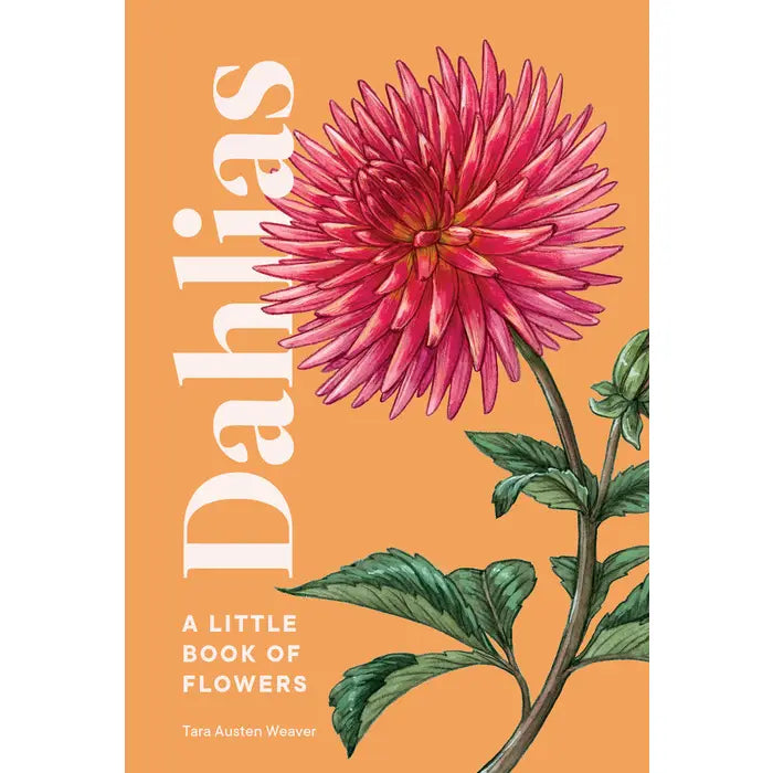DAHLIAS