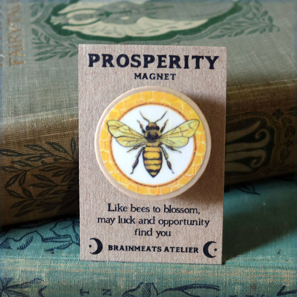 PROSPERITY MAGNET