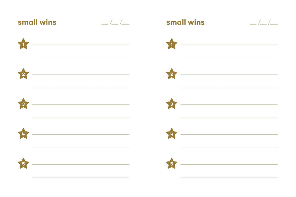 SMALL WINS