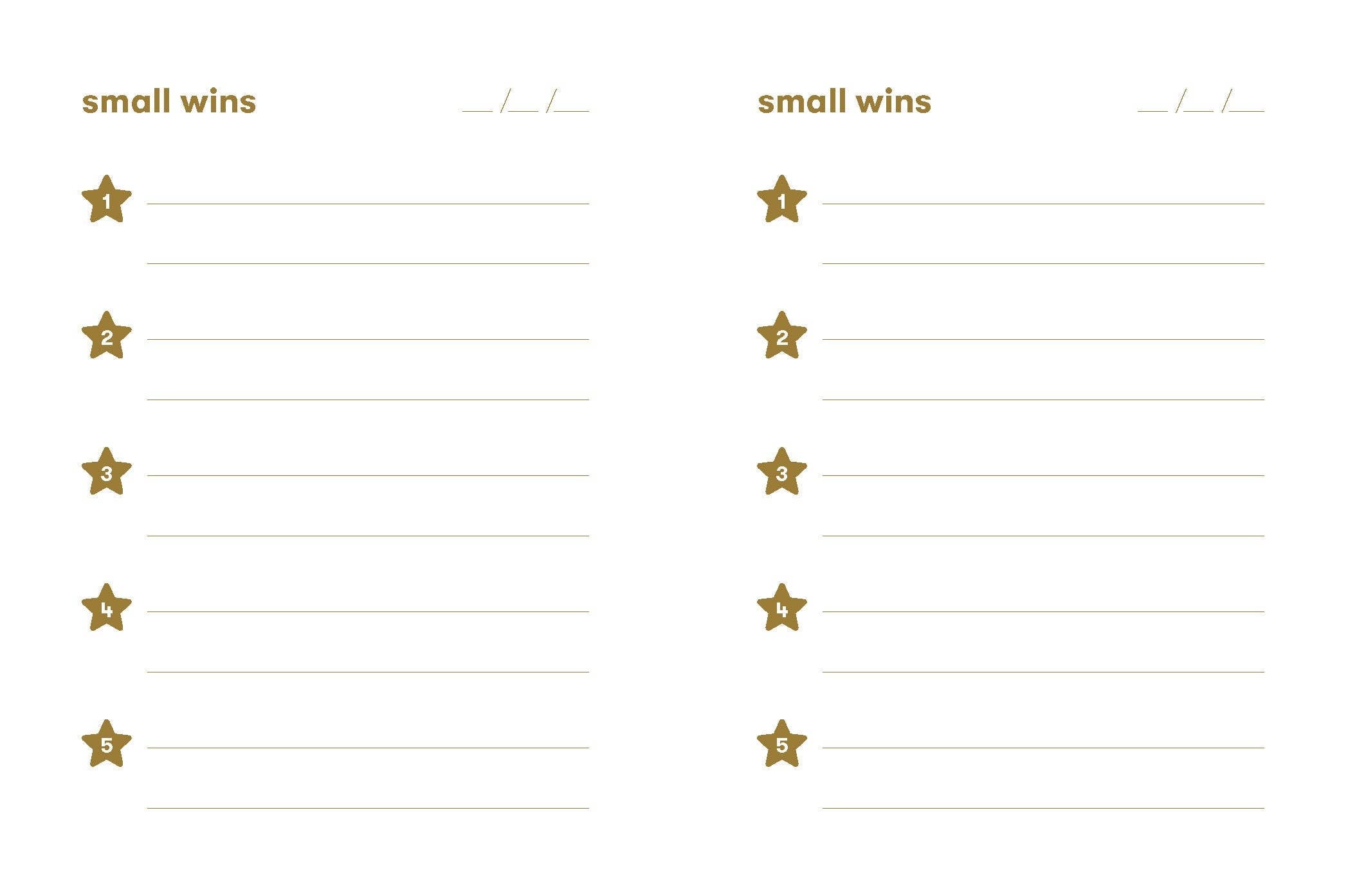SMALL WINS