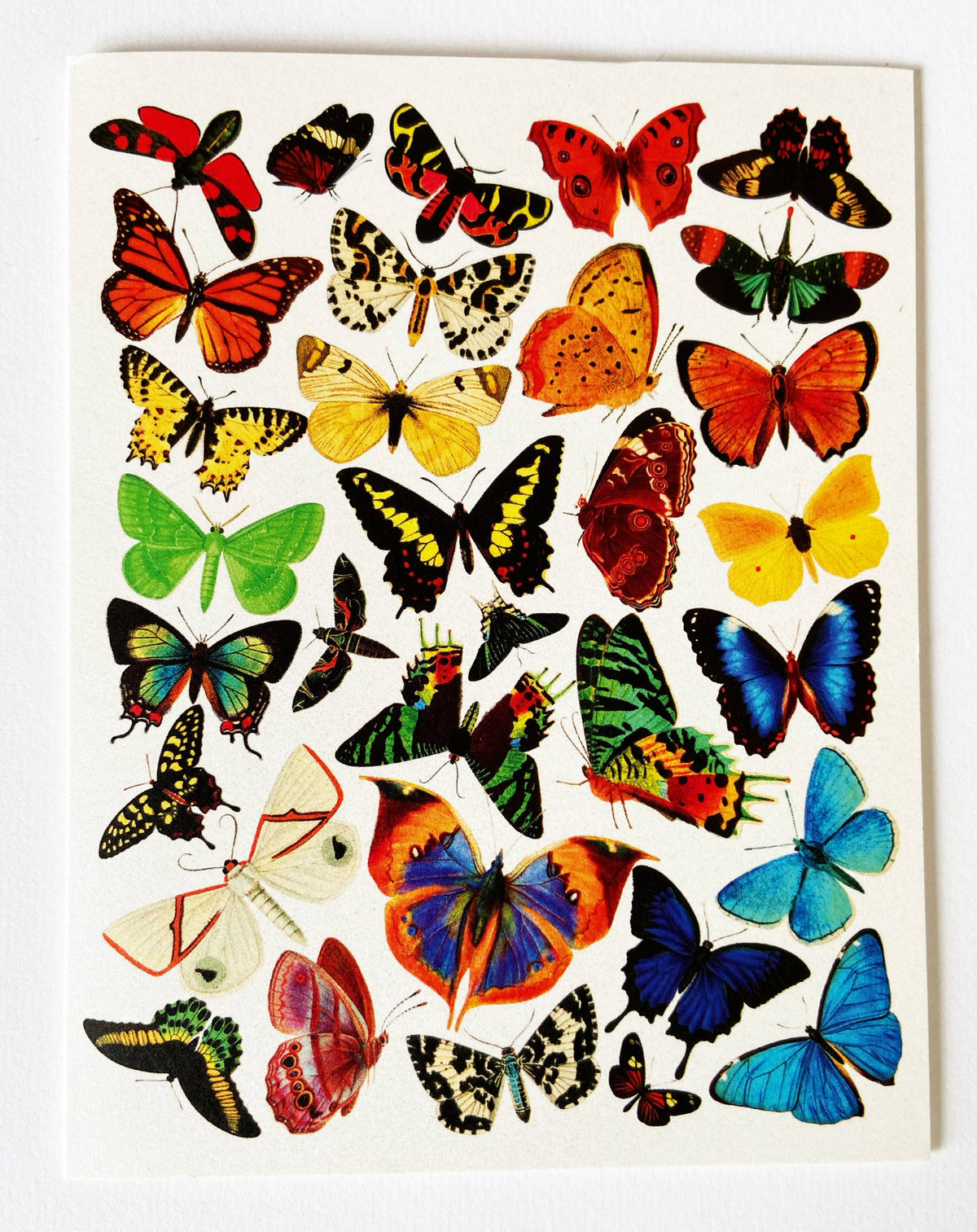 ART NOUVEAU VINTAGE CARD SET - RAINBOW BUTTERFLY (SET OF 8)