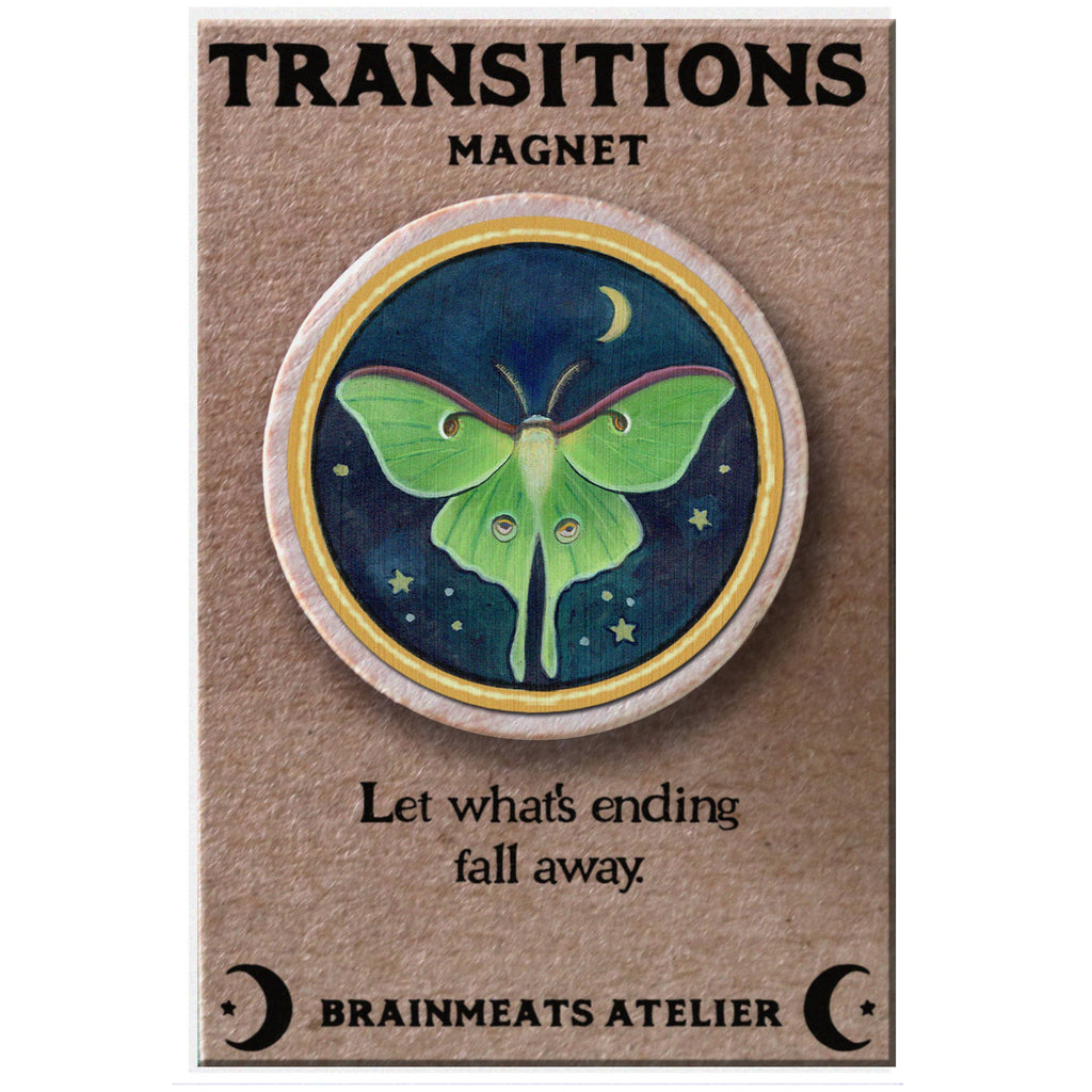 TRANSITIONS MAGNET