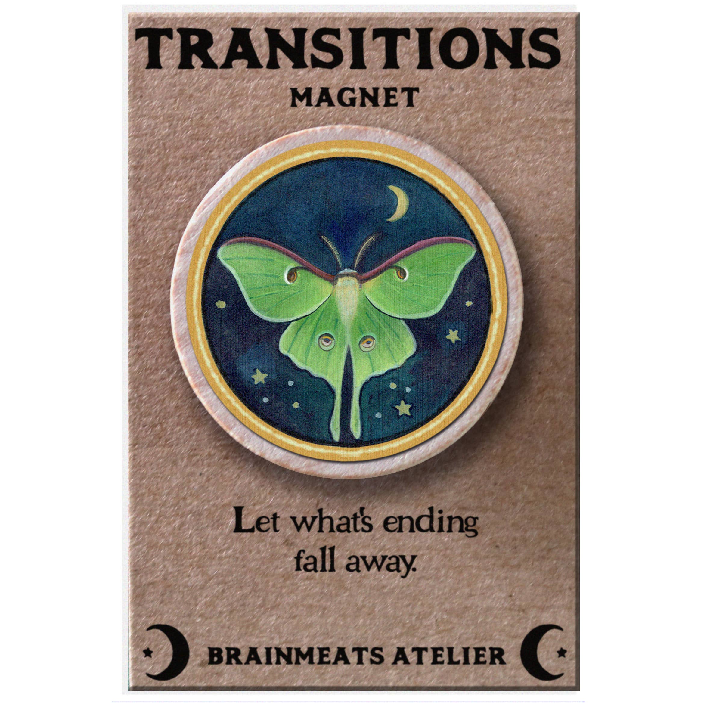 TRANSITIONS MAGNET