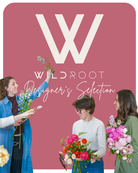 *MODEST* DESIGNER'S SELECTION ARRANGEMENT