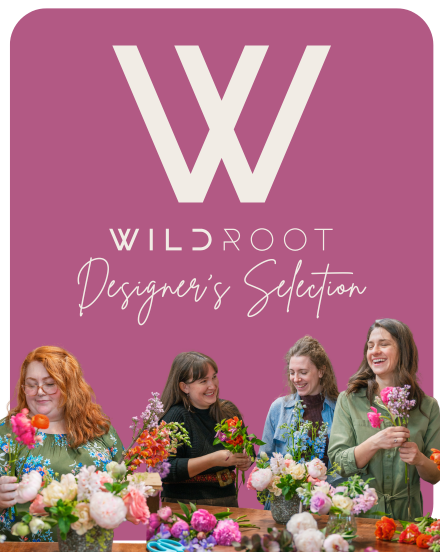 DESIGNER'S SELECTION ARRANGEMENT