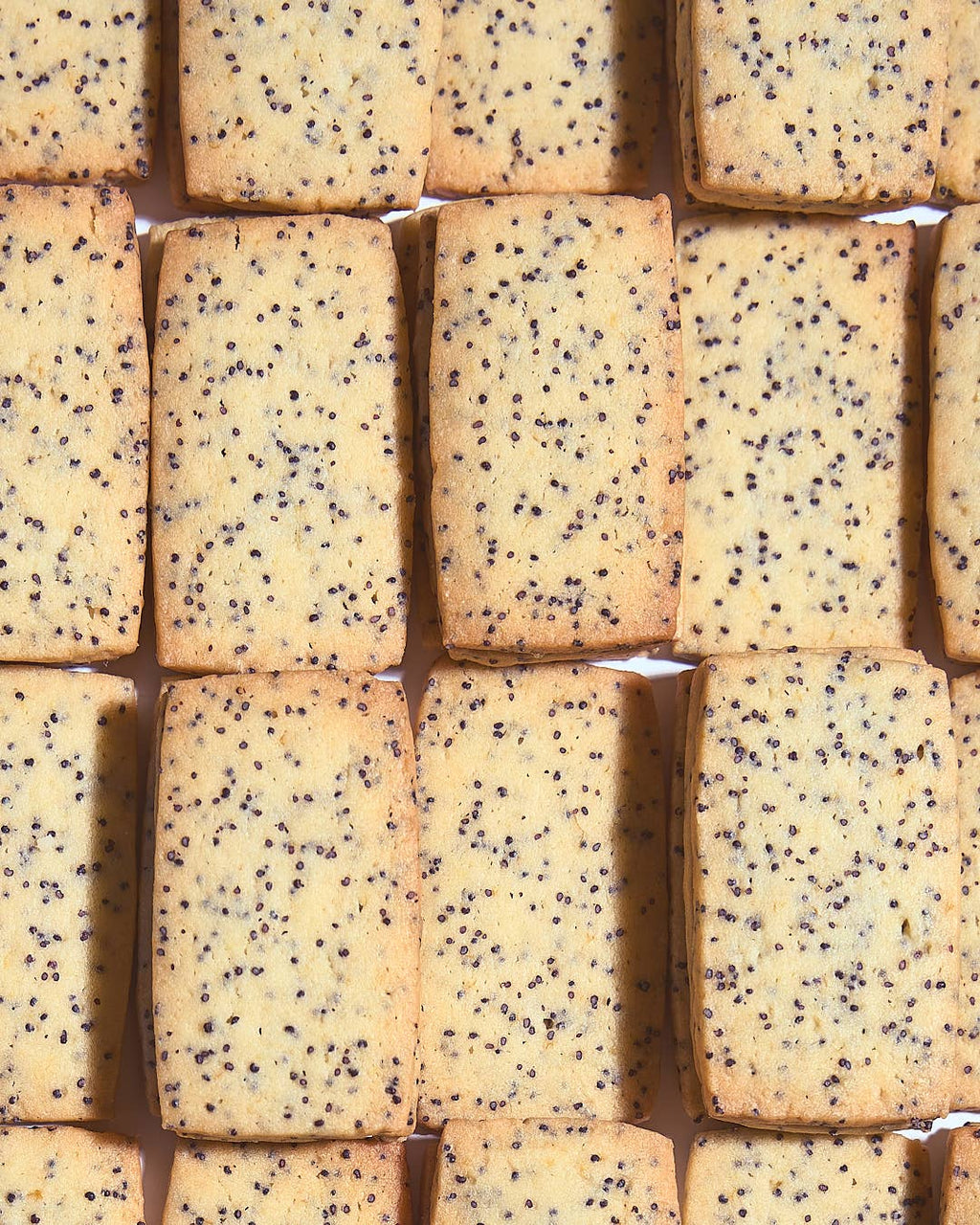 LEMON POPPY SEED SHORTBREAD (PACK OF 12)