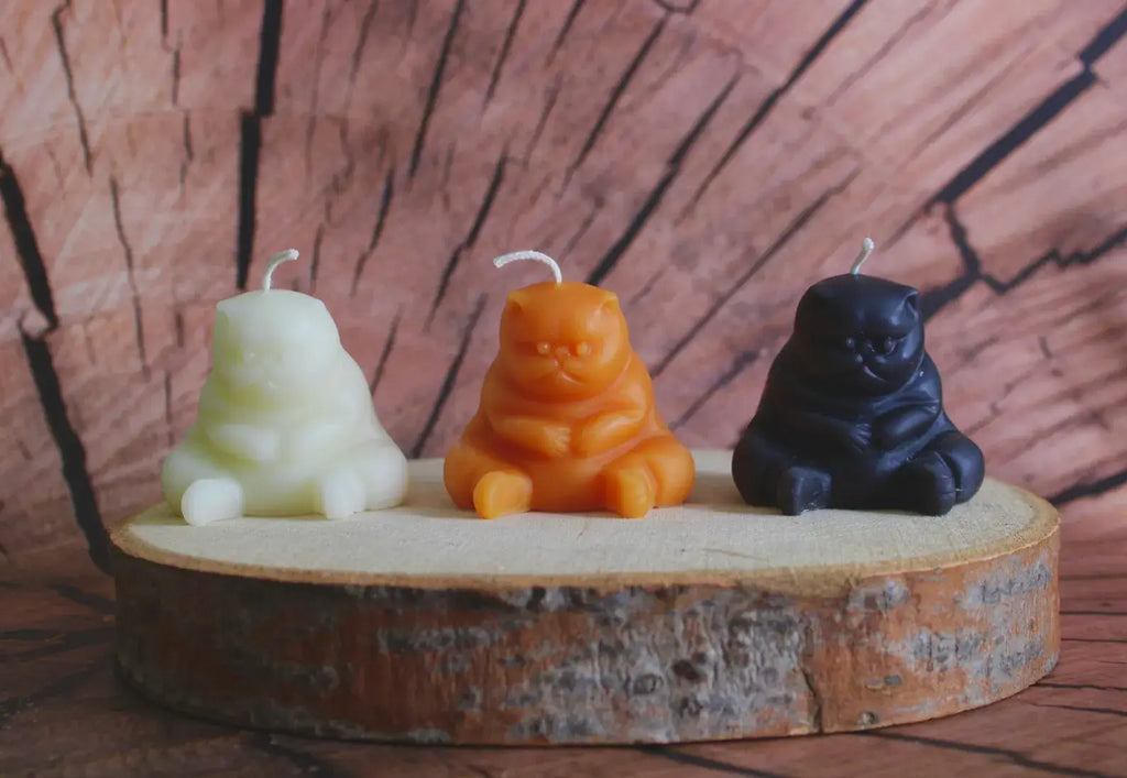 CHONKY CAT CANDLE: BEESWAX CANDLE