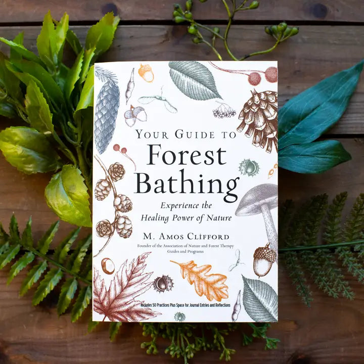 YOUR GUIDE TO FOREST BATHING