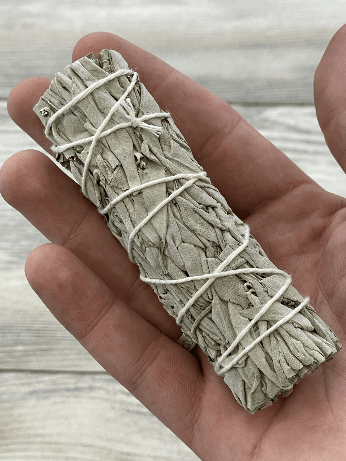 CALIFORNIA WHITE SAGE 4" BUNDLE