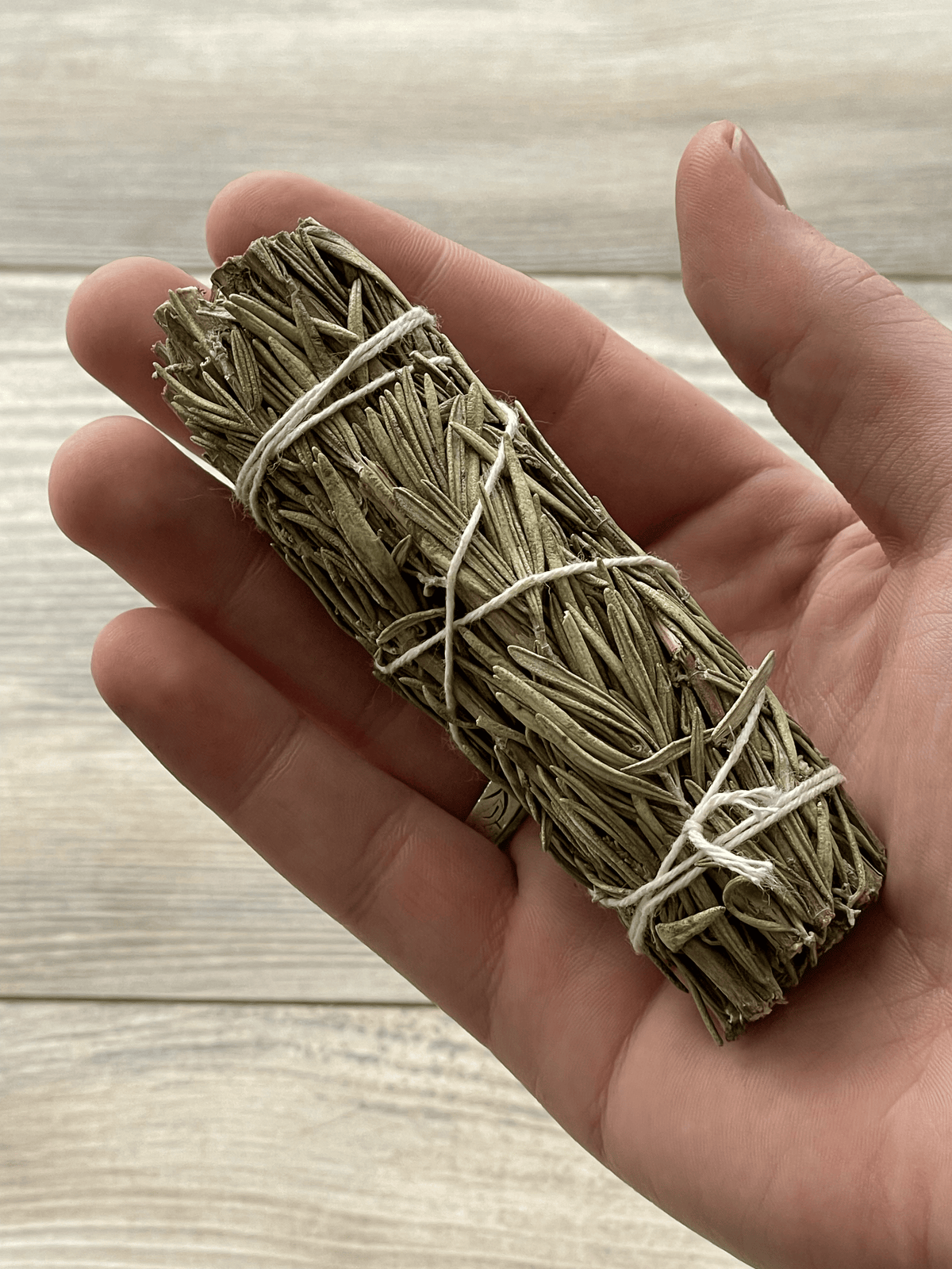 ROSEMARY SAGE 4" BUNDLE
