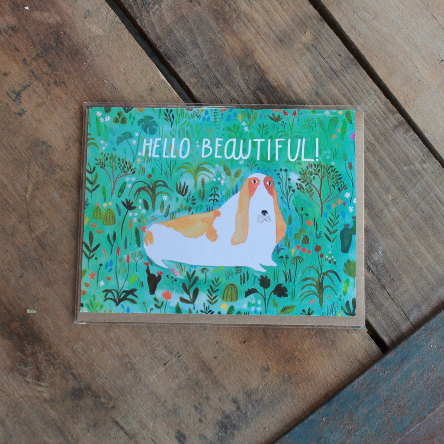 MISCELLANEOUS OCCASION CARDS