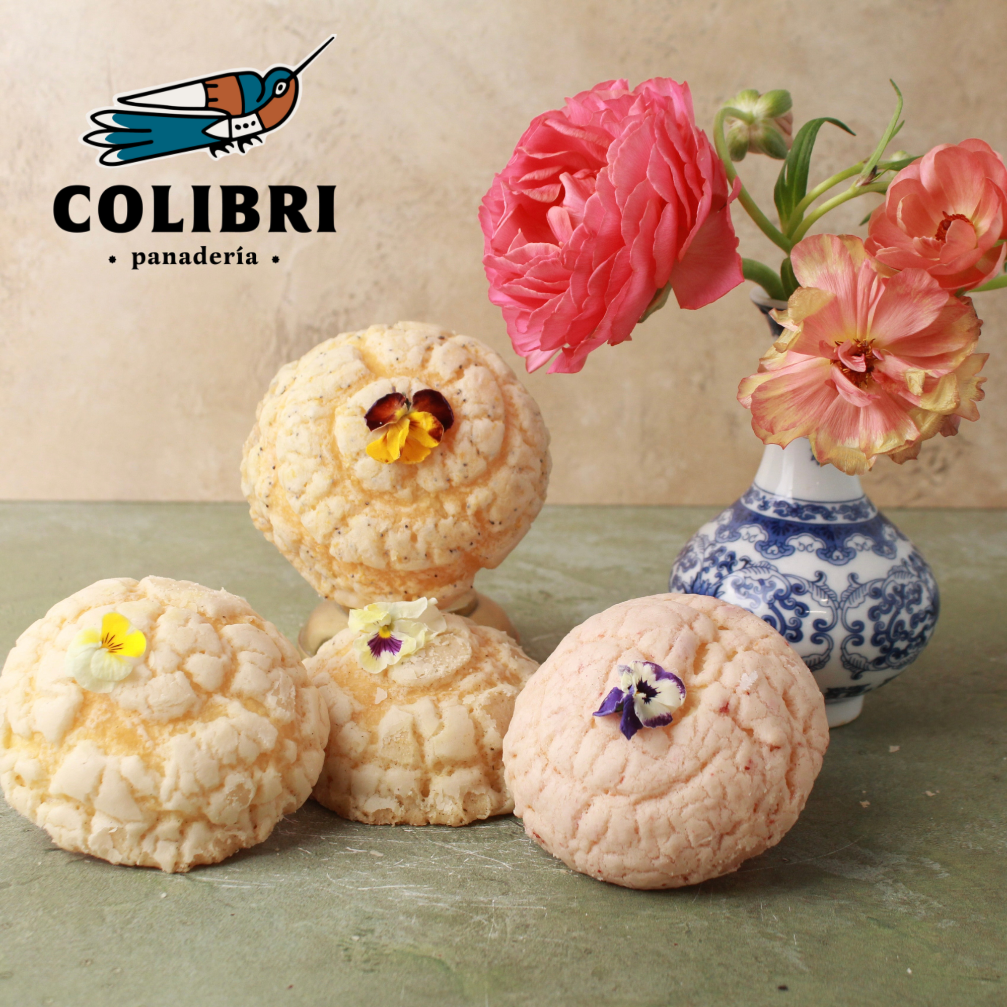 MINI GARDEN CONCHA BOX (4-PACK)