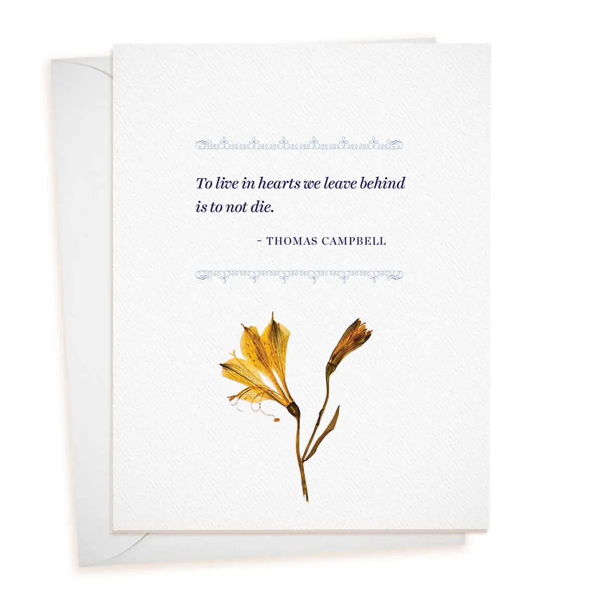 MISCELLANEOUS OCCASION CARDS