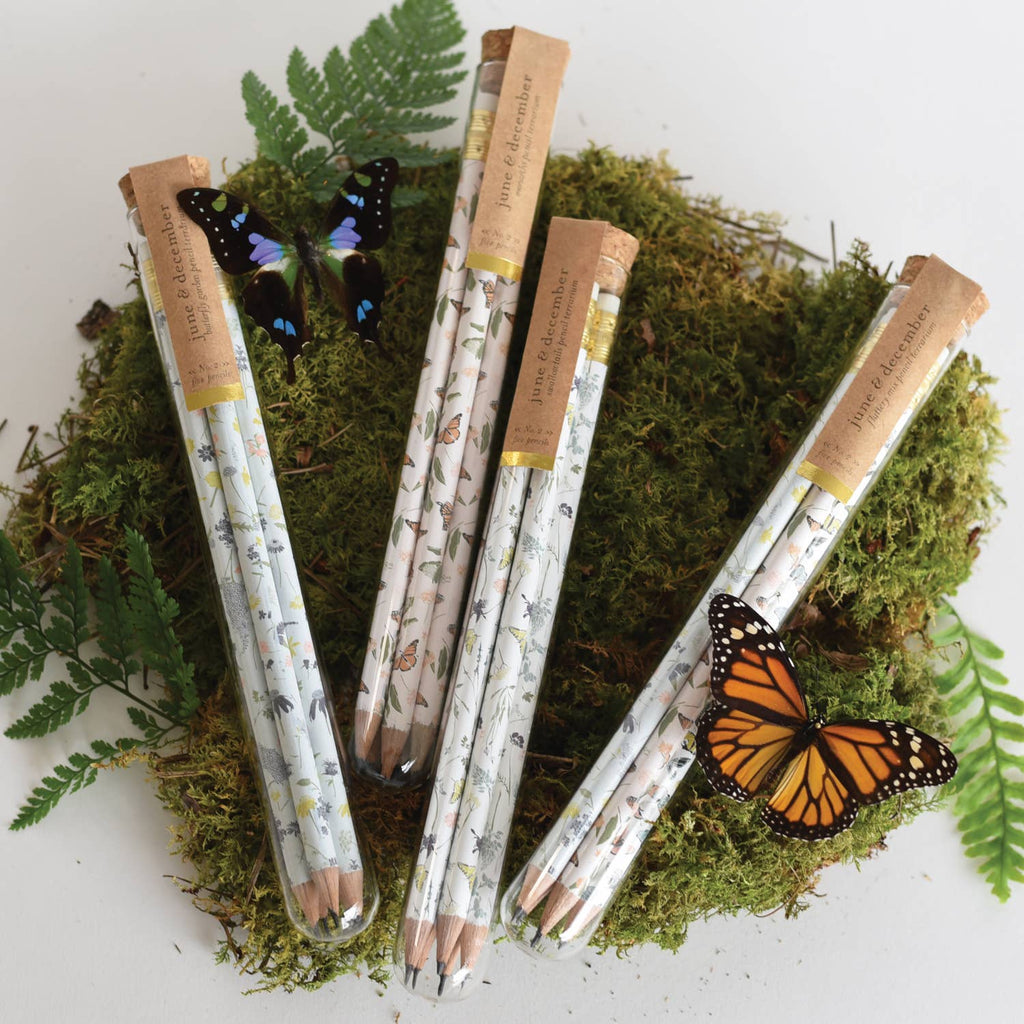 FLUTERRY MIX PENCIL TERRARIUM