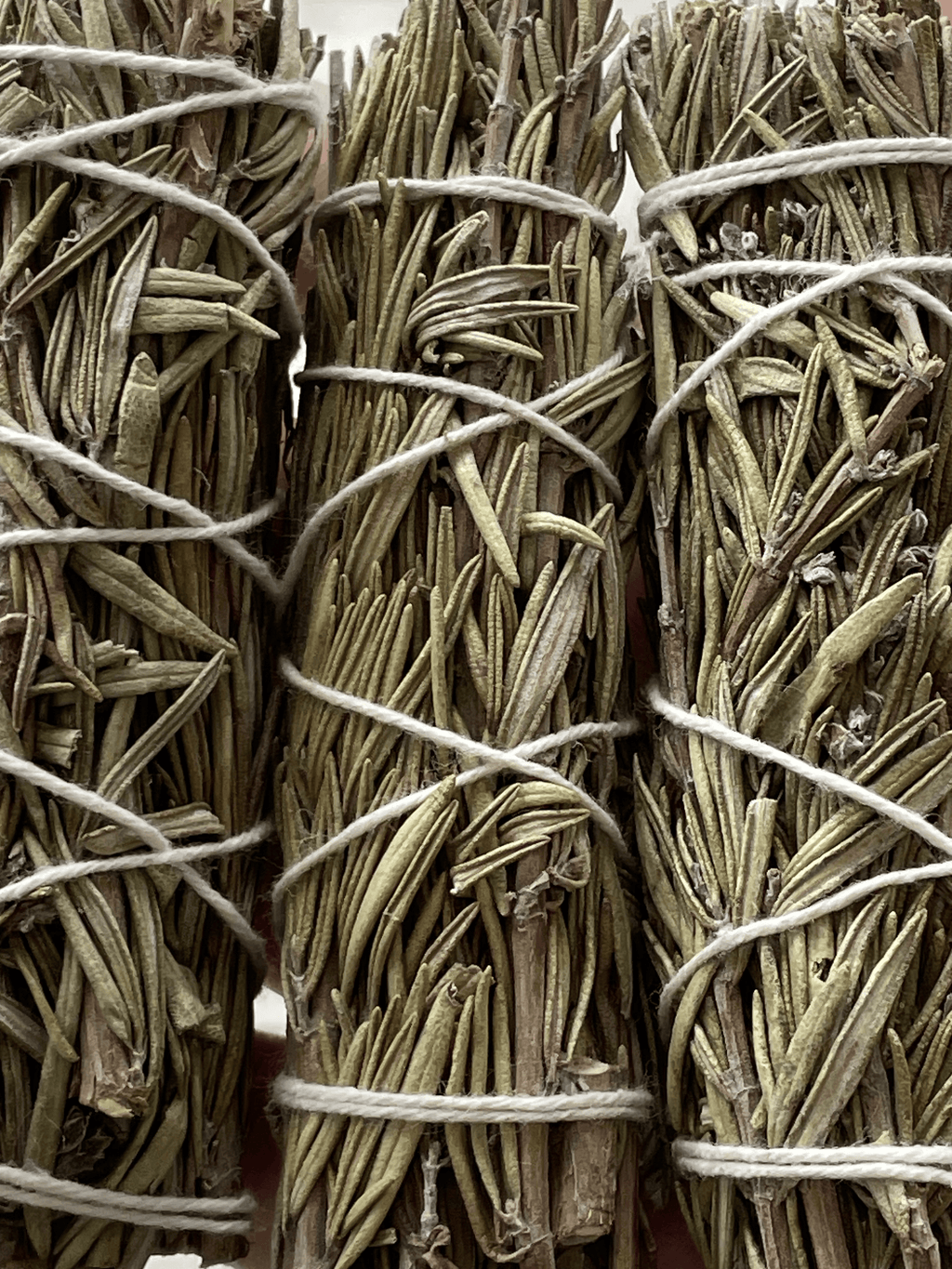 ROSEMARY SAGE 4" BUNDLE