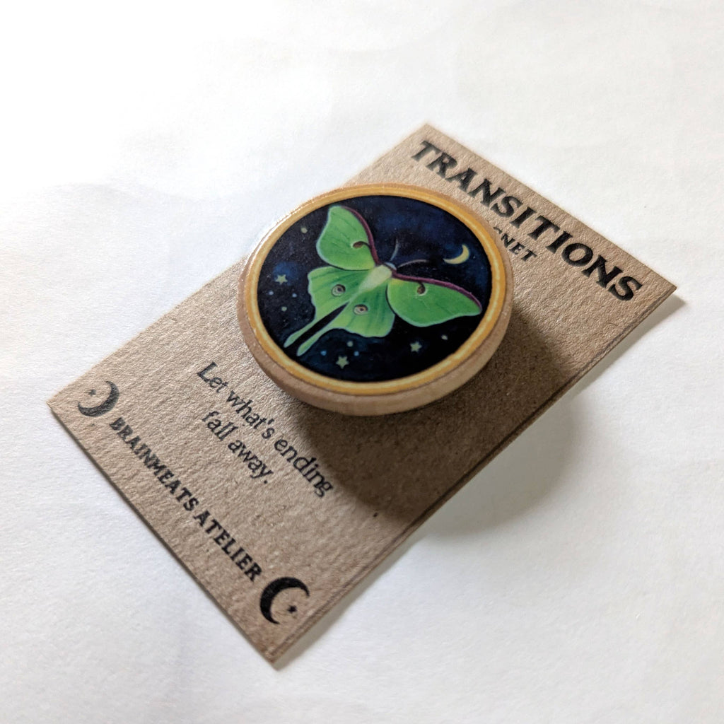 TRANSITIONS MAGNET