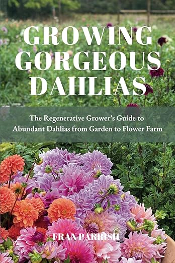 GROWING GORGEOUS DAHLIAS