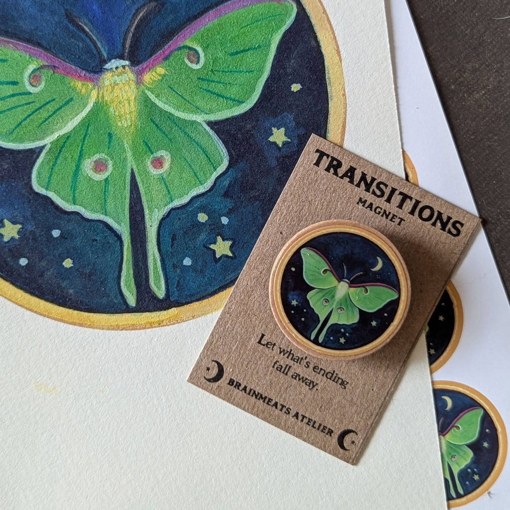TRANSITIONS MAGNET