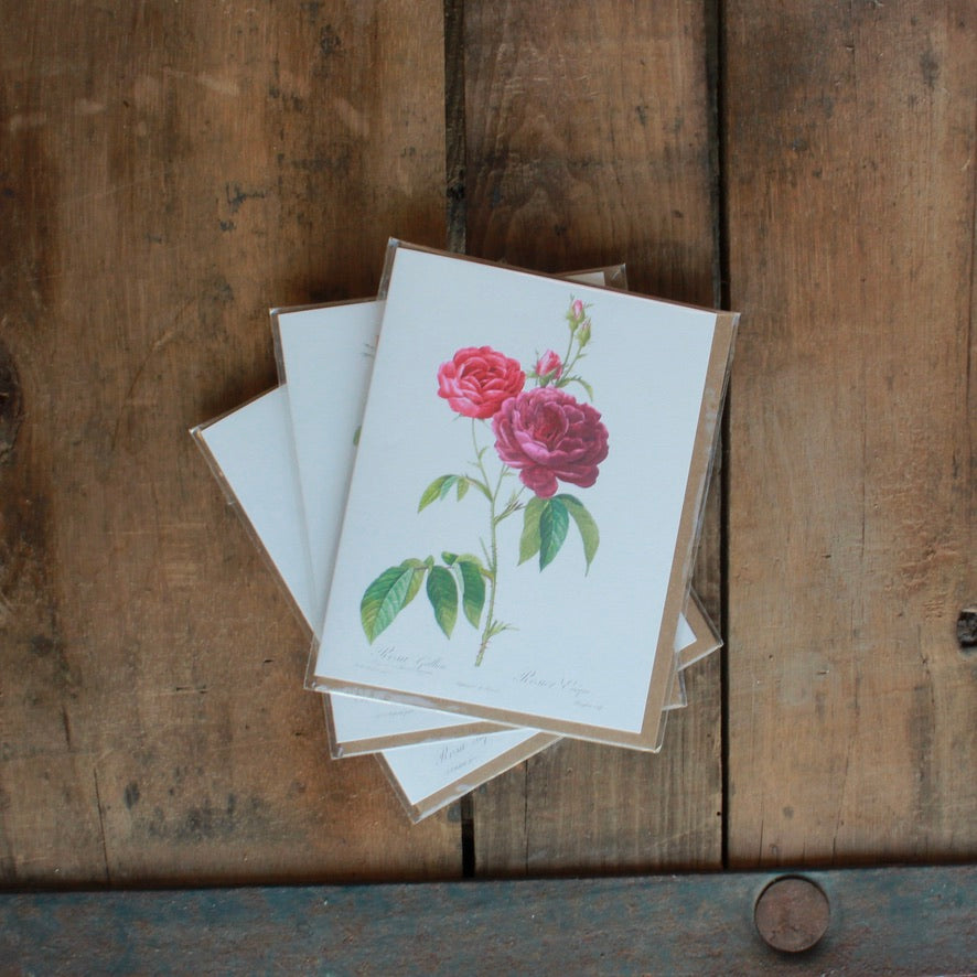 BLANK OUTSIDE CARDS