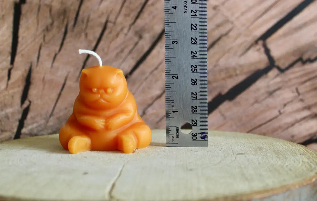 CHONKY CAT CANDLE: BEESWAX CANDLE