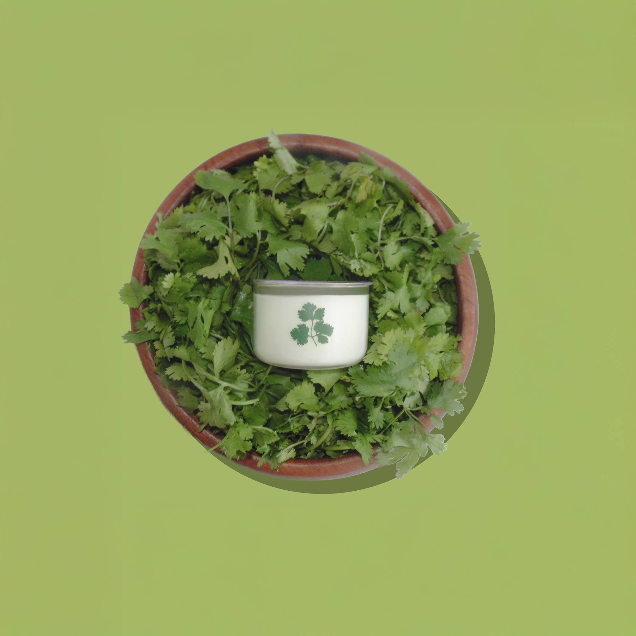 CILANTRO HERB MINI CANDLE