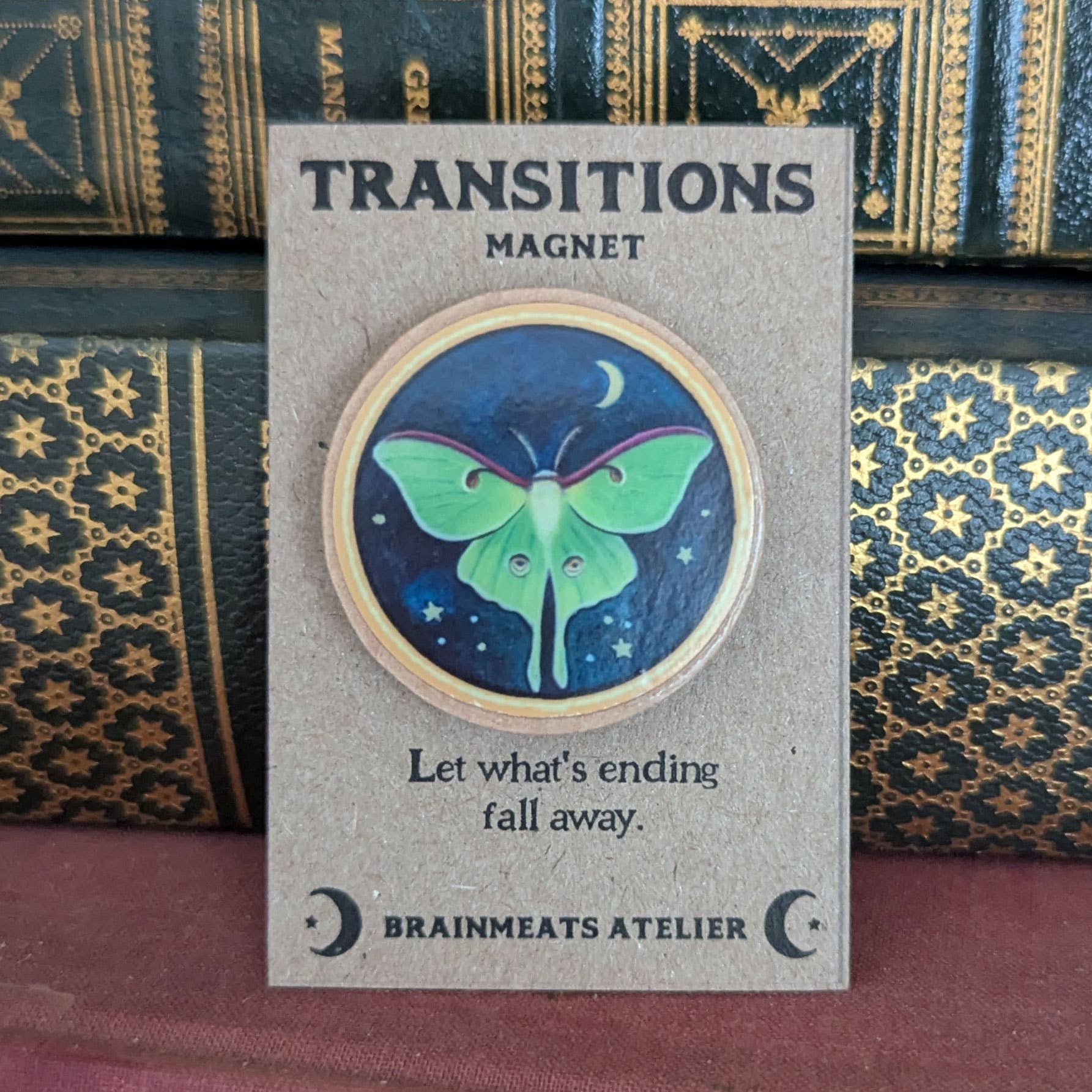 TRANSITIONS MAGNET