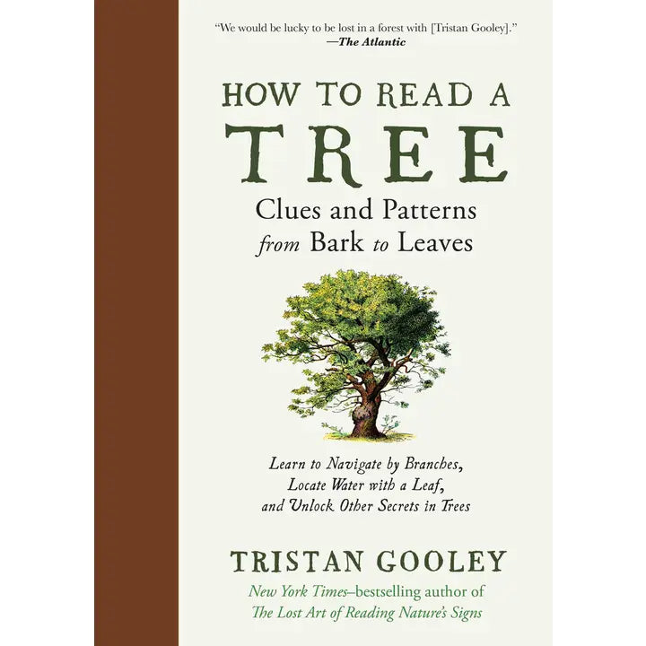 HOW TO READ A TREE: CLUES AND PATTERNS FROM BARK TO LEAVES