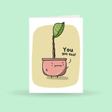 MISCELLANEOUS OCCASION CARDS