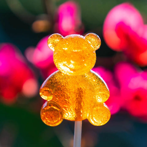 HONEY BEAR LOLLIPOPS