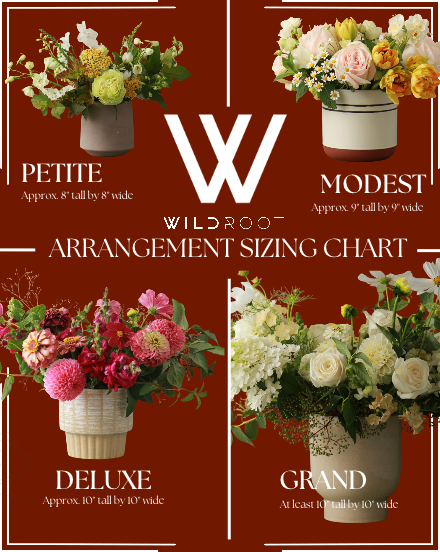 DESIGNER'S SELECTION ARRANGEMENT