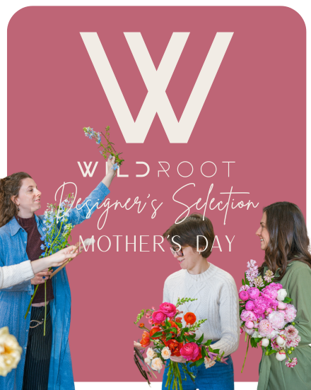 *MODEST* DESIGNER'S SELECTION ARRANGEMENT - MOTHER'S DAY
