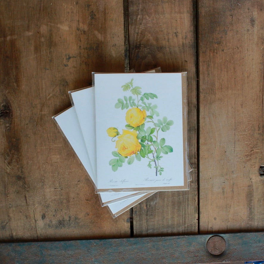 BLANK OUTSIDE CARDS