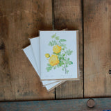 GREETING CARDS- NOTE