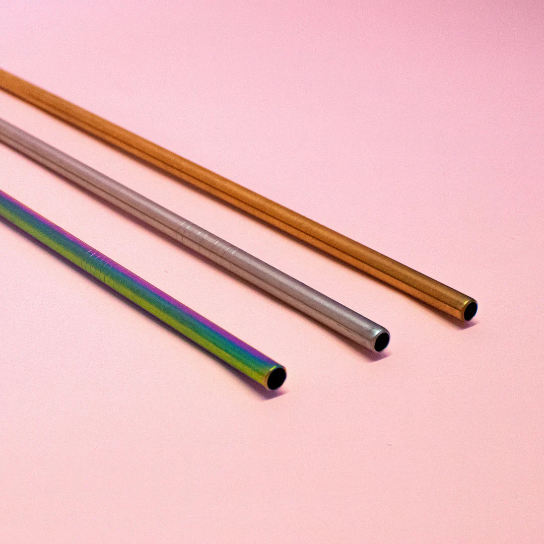 LITTLE SALMON STAINLESS STEEL STRAW