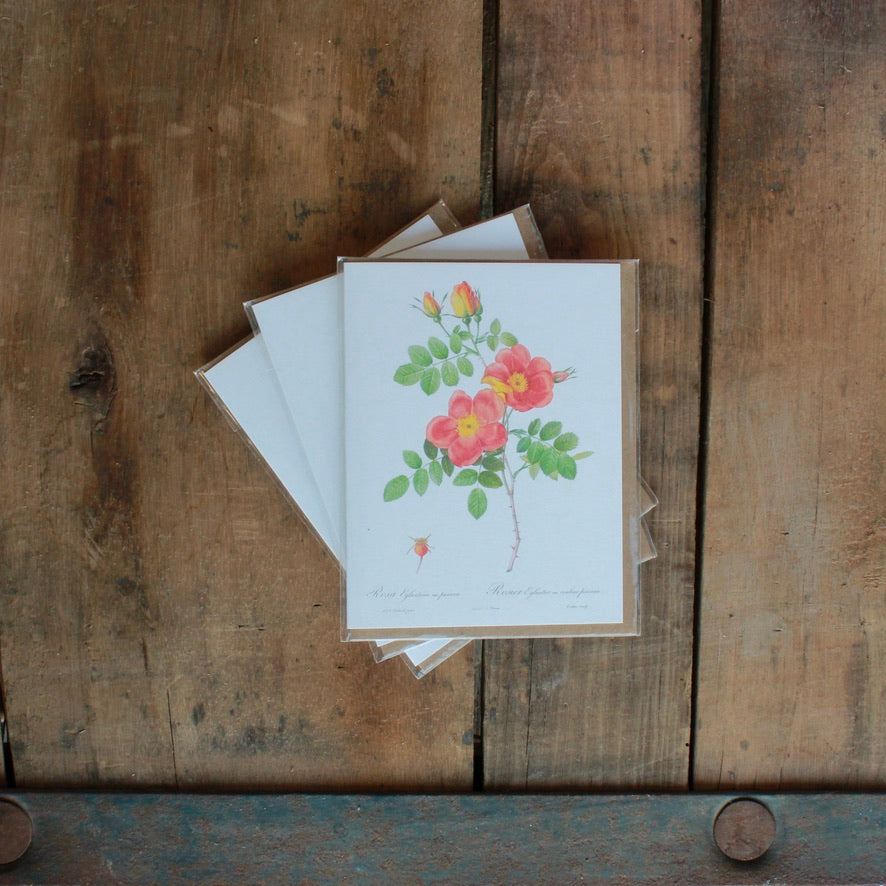 BLANK OUTSIDE CARDS