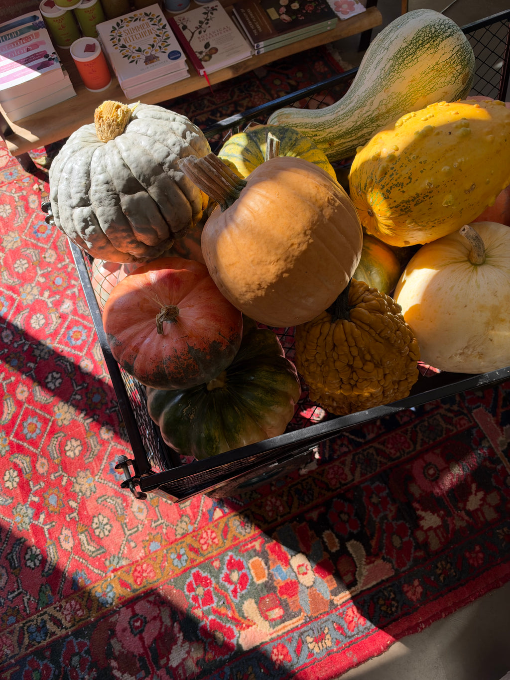 HEIRLOOM PUMPKIN