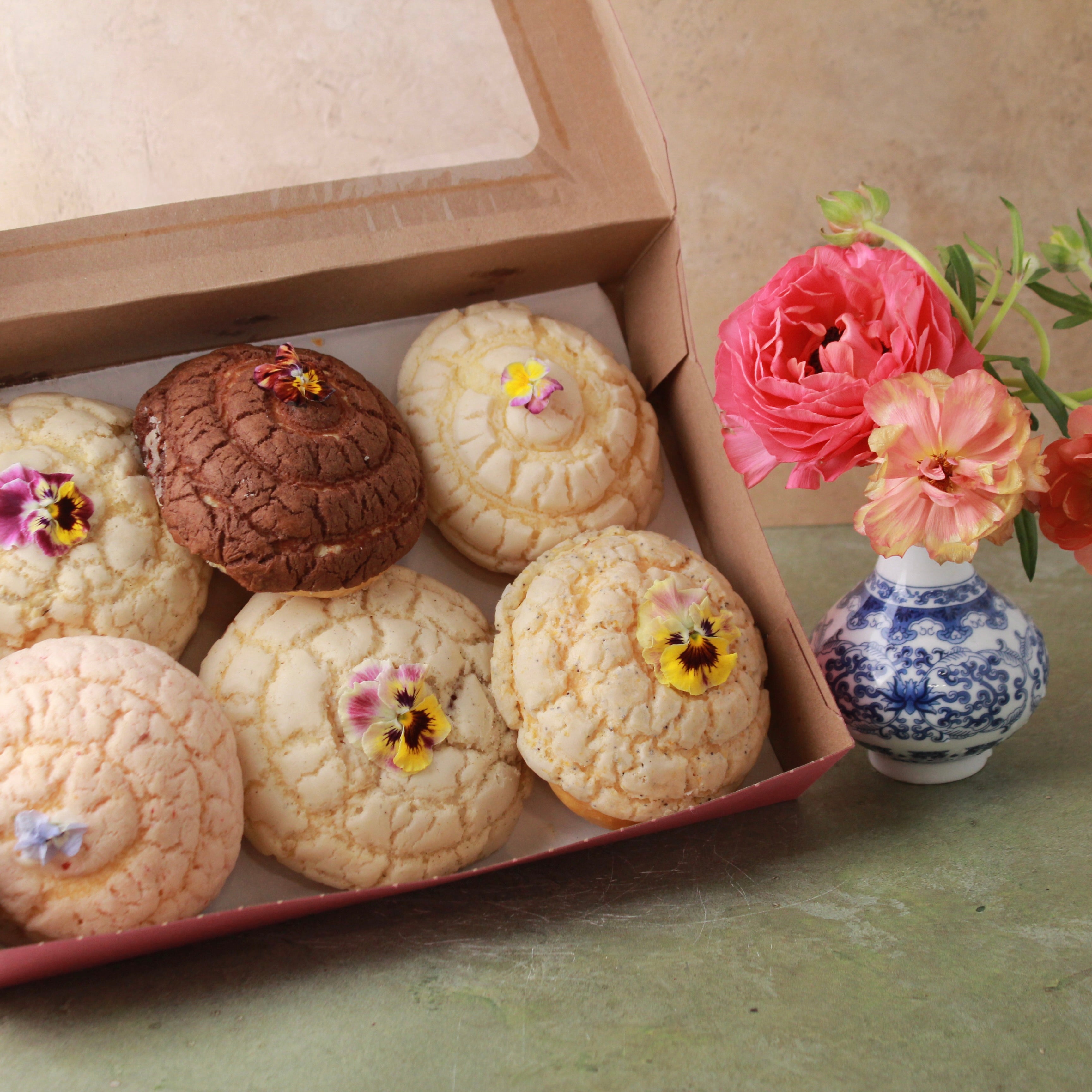 CLASSIC GARDEN CONCHA BOX (6-PACK)