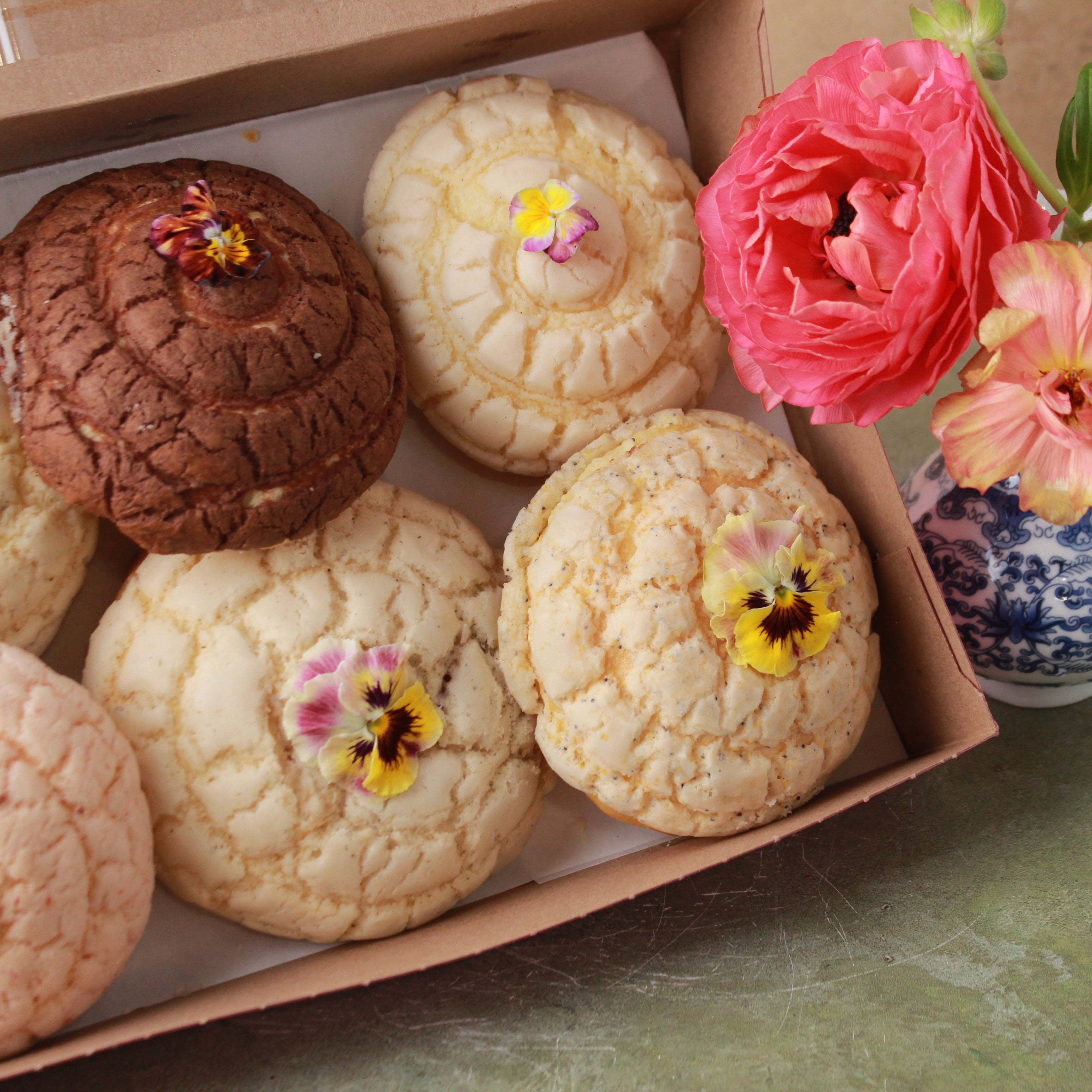 CLASSIC GARDEN CONCHA BOX (6-PACK)