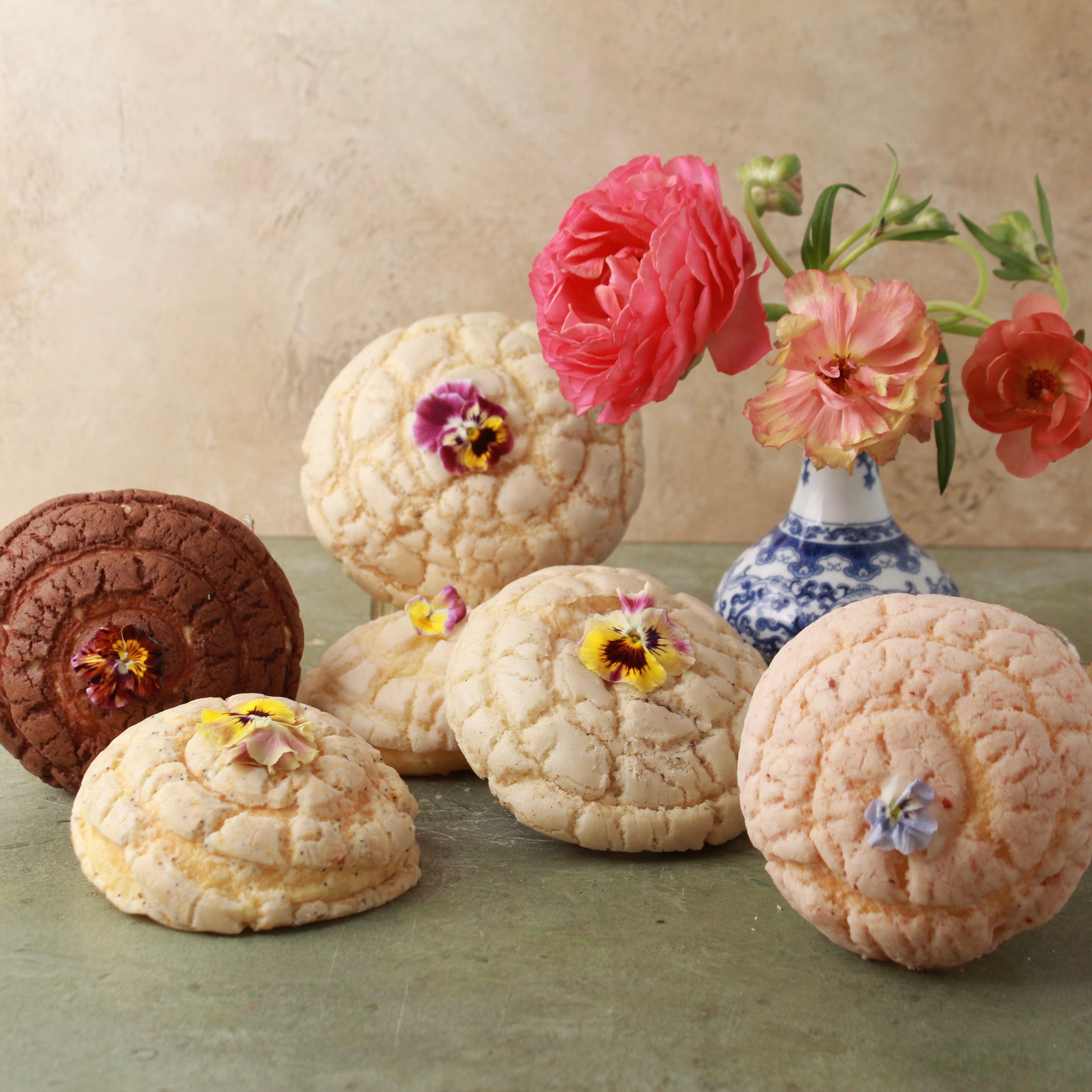 CLASSIC GARDEN CONCHA BOX (6-PACK)