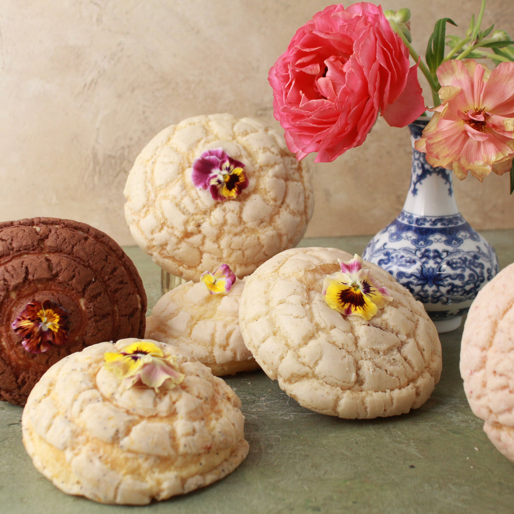 CLASSIC GARDEN CONCHA BOX (6-PACK)
