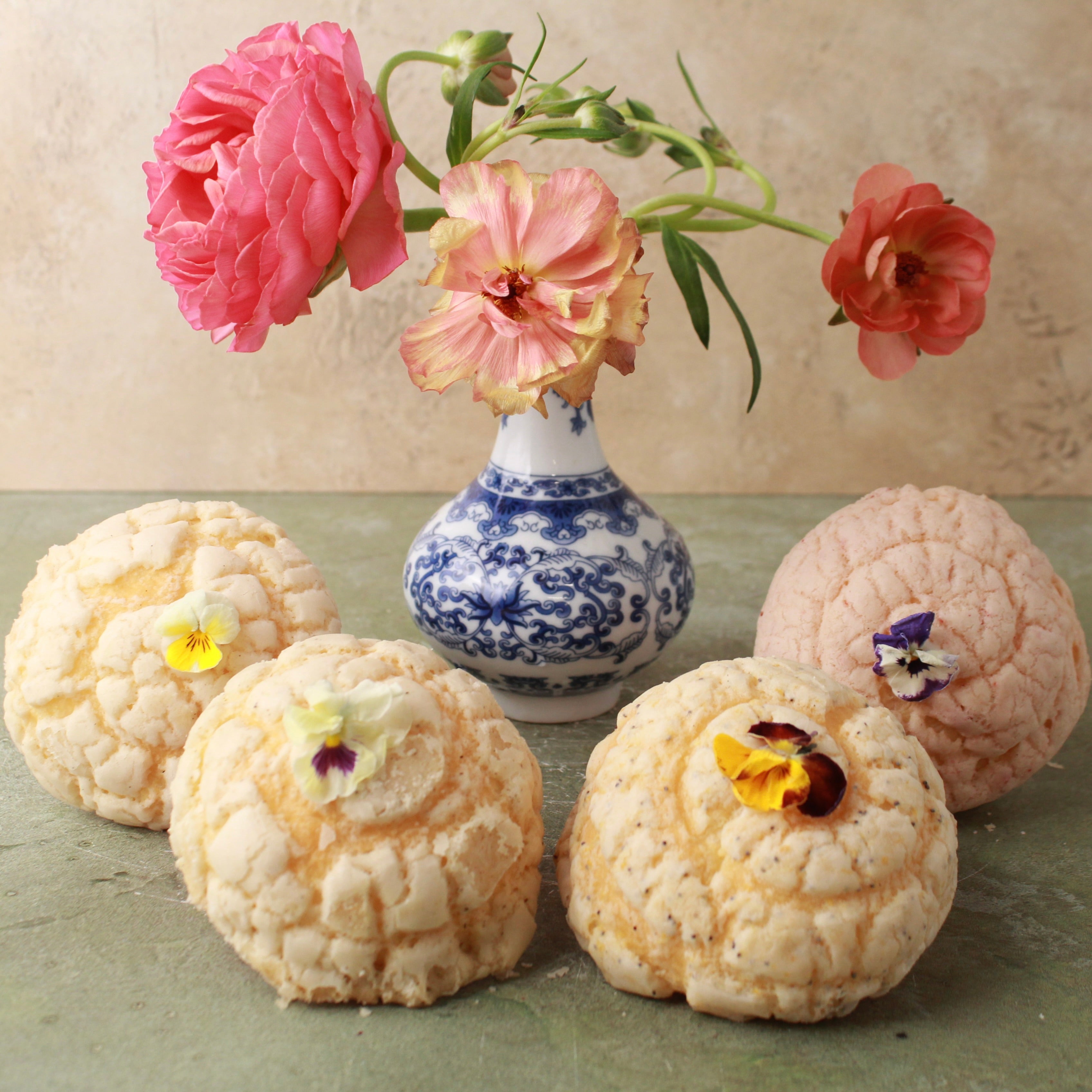 MINI GARDEN CONCHA BOX (4-PACK)