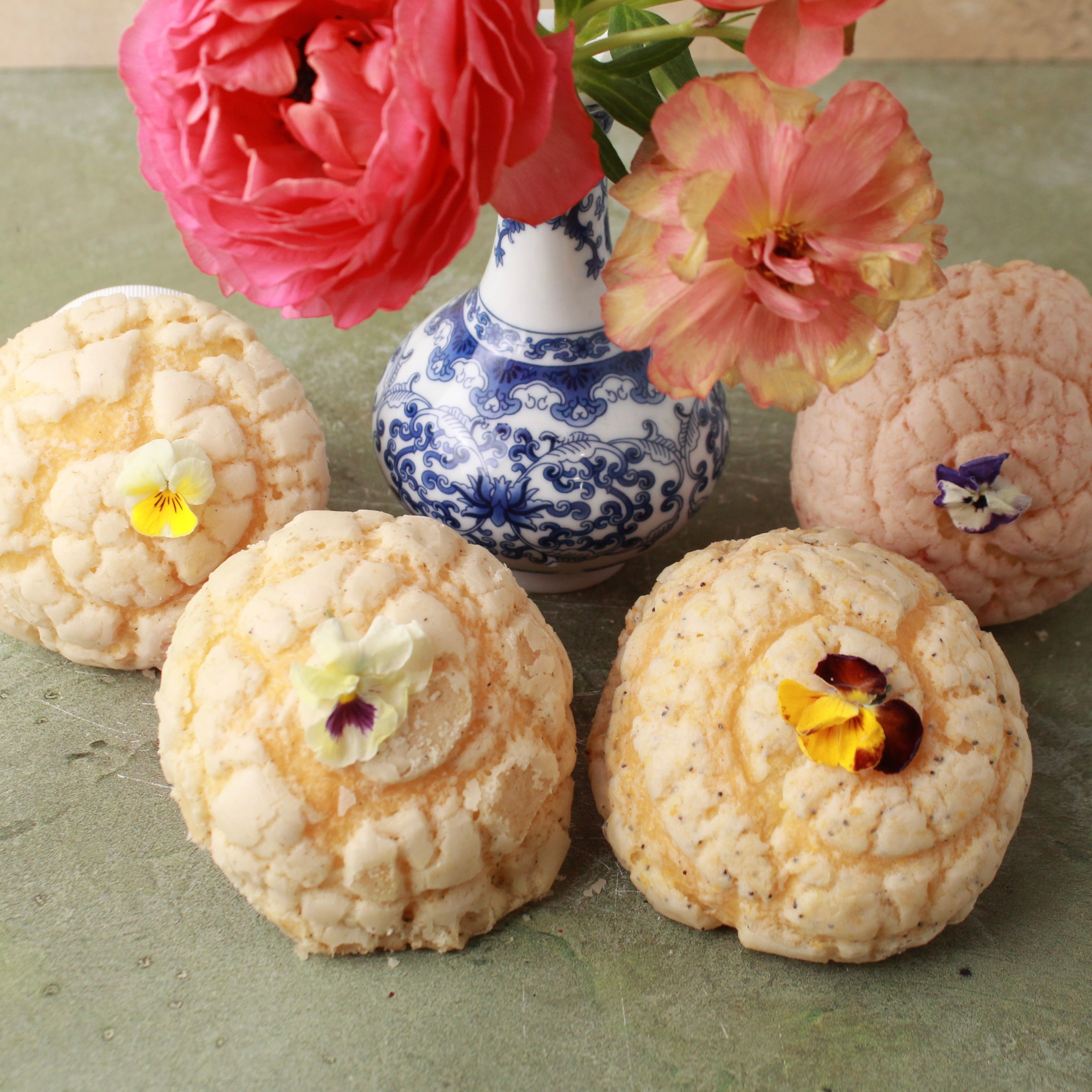MINI GARDEN CONCHA BOX (4-PACK)