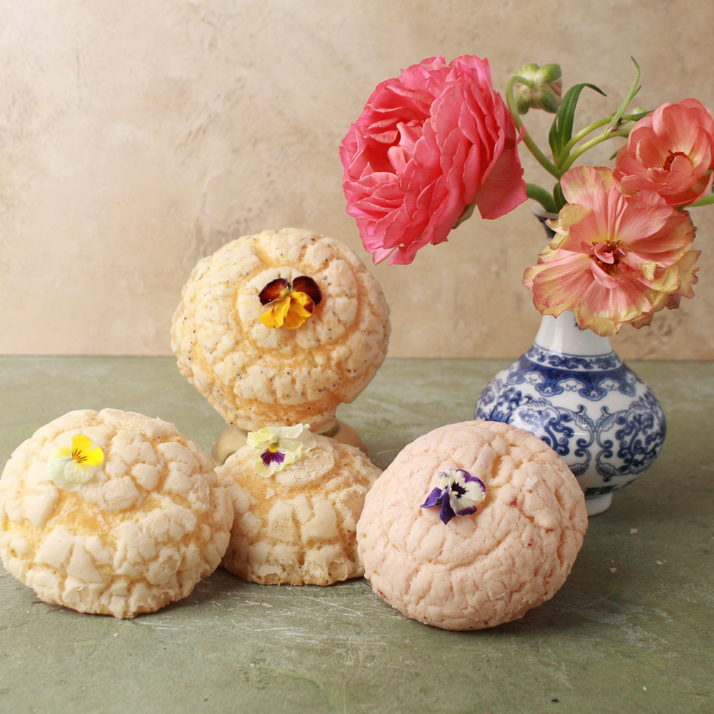 MINI GARDEN CONCHA BOX (4-PACK)
