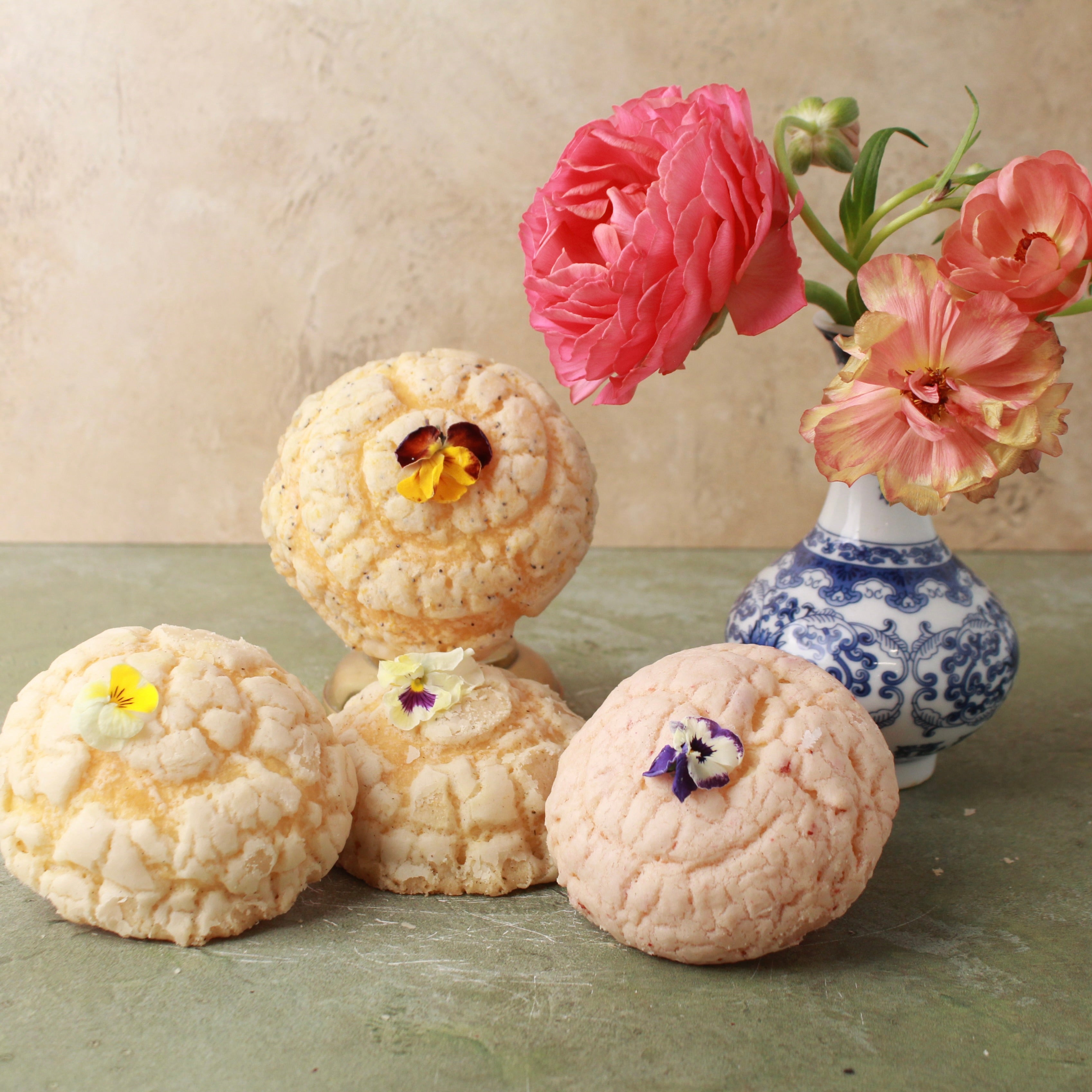 MINI GARDEN CONCHA BOX (4-PACK)